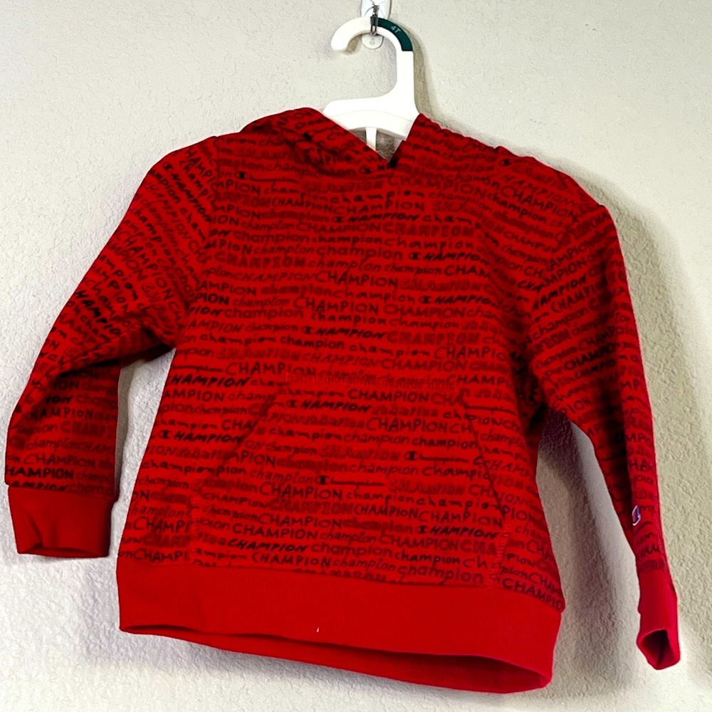 Champion sweater